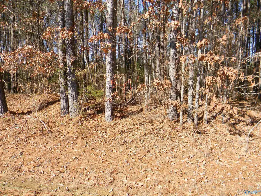 Track 6 & 7 County Road 41, Gaylesville, AL 35973 - Image #3