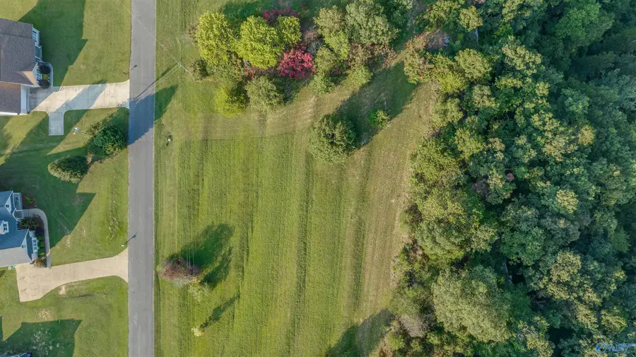 Lot #21 County Road 1010, Fort Payne, AL 35968 - Image #3