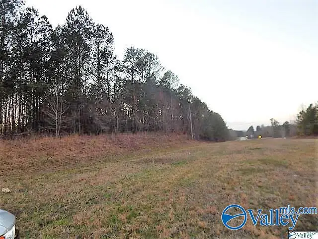 72 acres Highway 431, Heflin, AL 36264 - Image #2