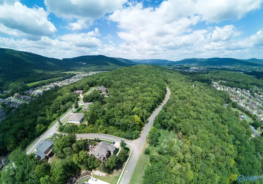 7025 Ridge Crest Road #LOT 48, Owens Cross Roads, AL 35763 - Image #3