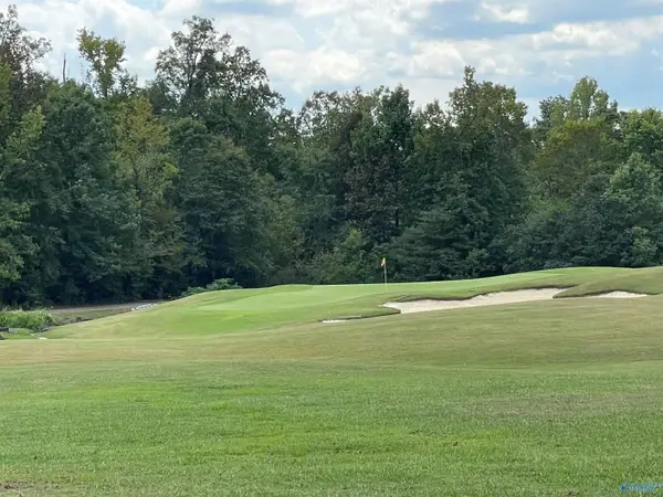 Lot 14 Grandview Circle, Glencoe, AL 35905