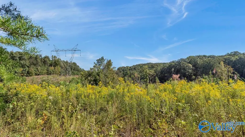 3939 County Road 284, Courtland, AL 35618 - Image #1