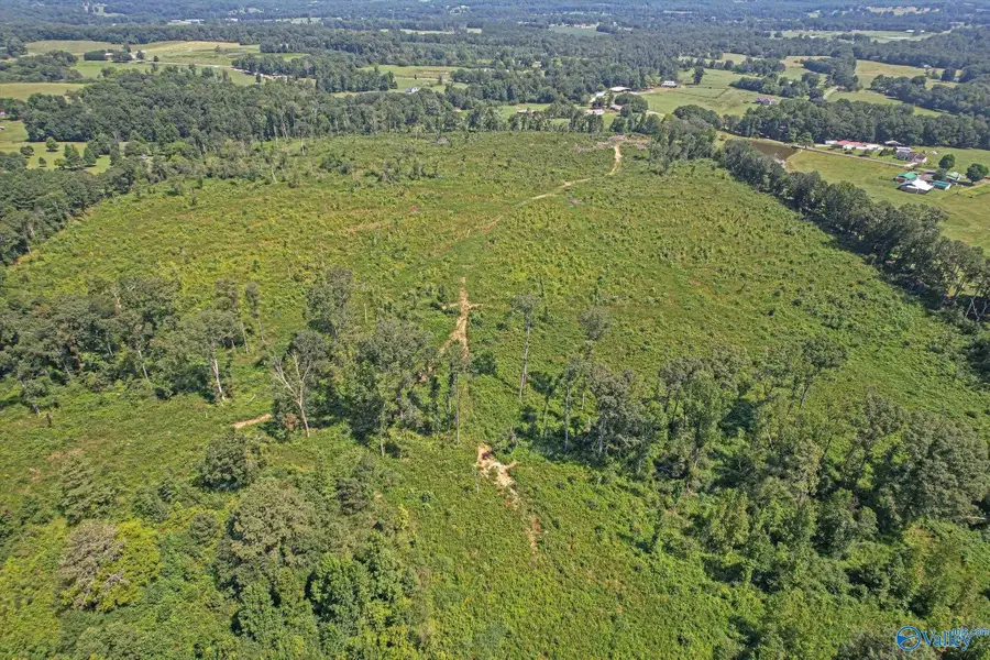 69+/- Acres Beulah Road, Boaz, AL 35957 - Image #2