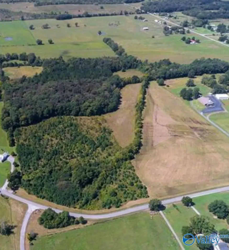 24 Roundtop Road, Falkville, AL 35622 - Image #1