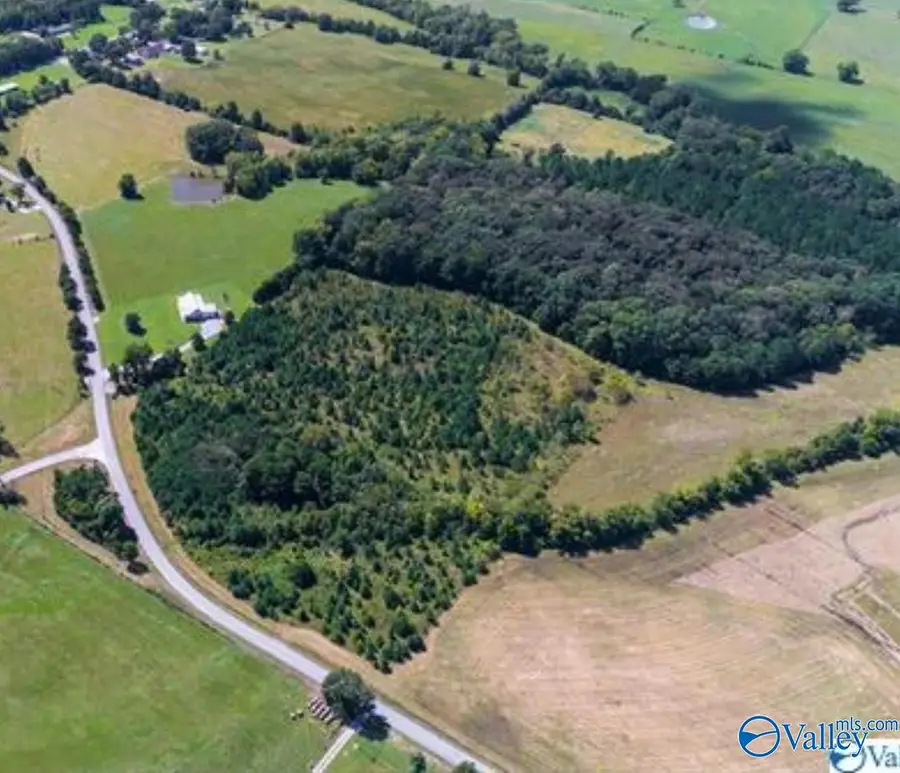 24 Roundtop Road, Falkville, AL 35622 - Image #2