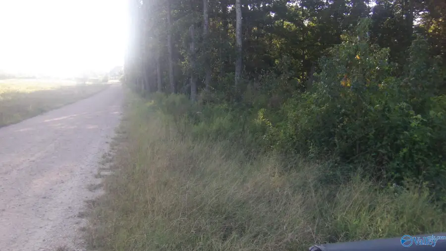 5331 County Road 9, Geraldine, AL 35974 - Image #3