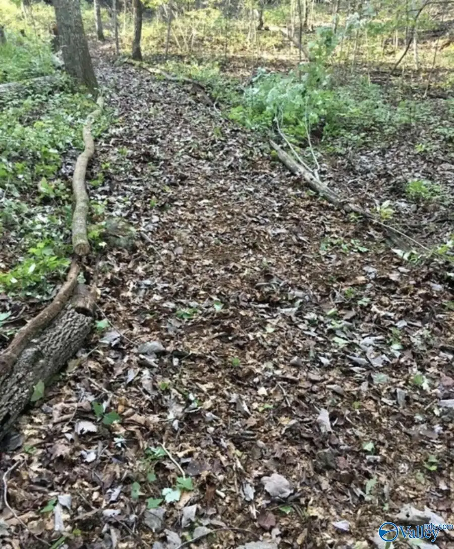 Lot 11 Bear Creek Trail, Fort Payne, AL 35957 - Image #2
