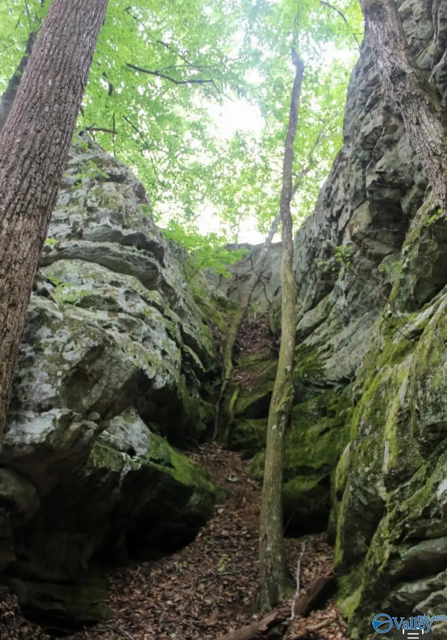 Lot 11 Bear Creek Trail, Fort Payne, AL 35957 - Image #3
