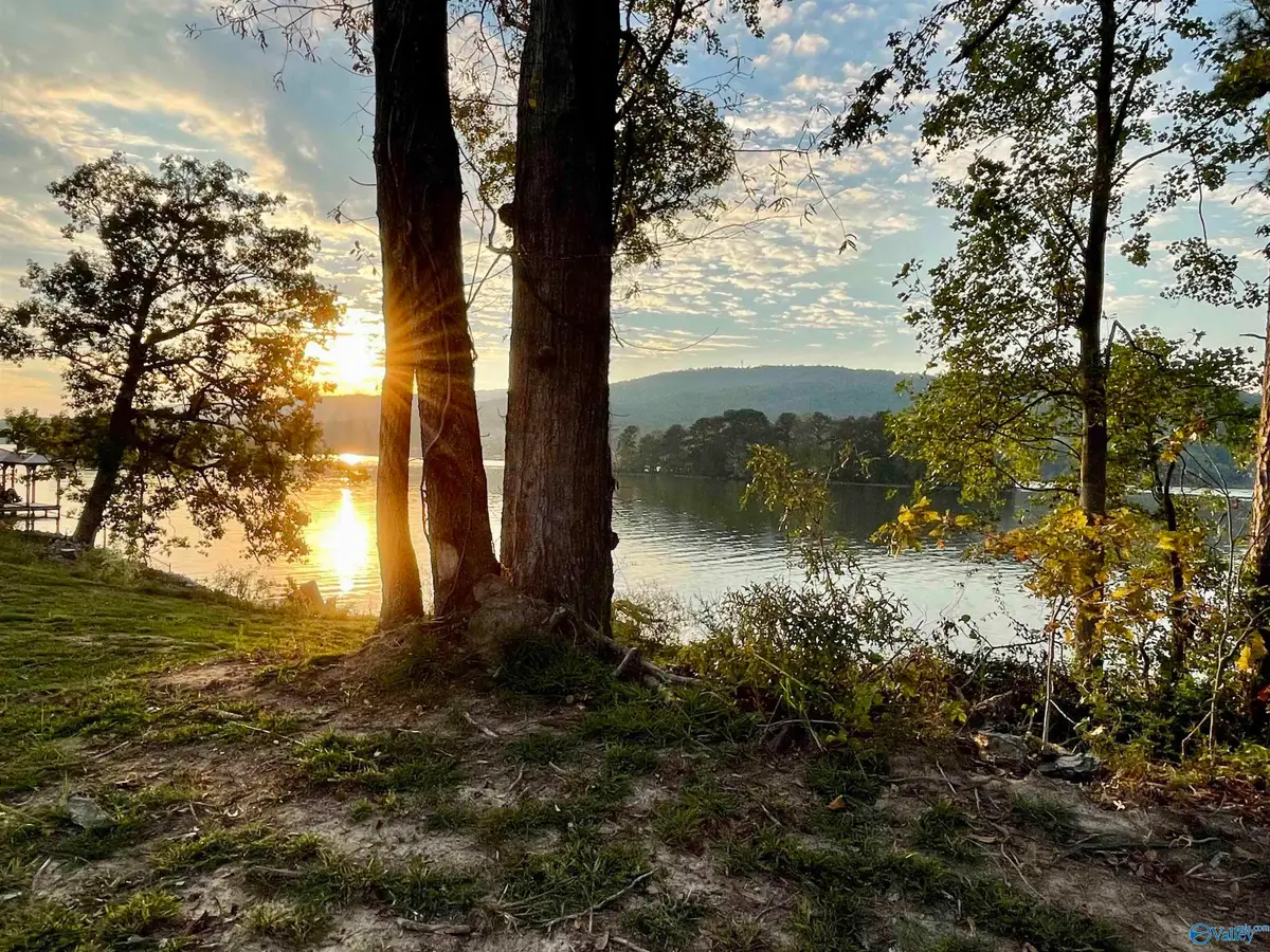 2790 Lake Forest Court, Southside, AL 35907 - Image #1