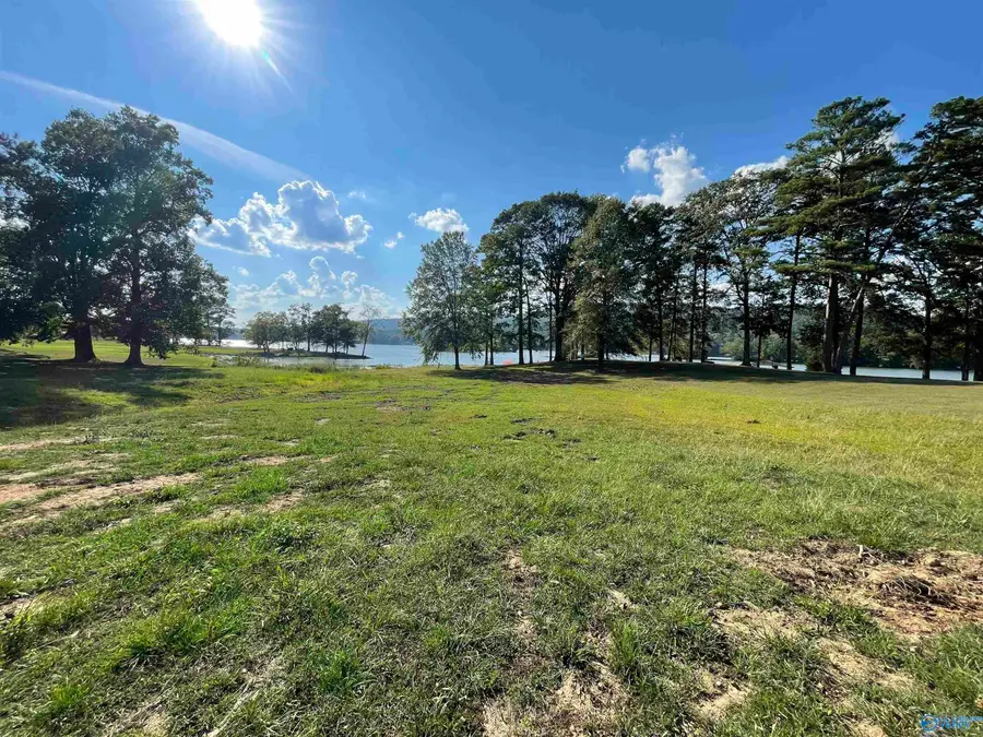 2860 Lake Forest Court, Southside, AL 35907 - Image #2