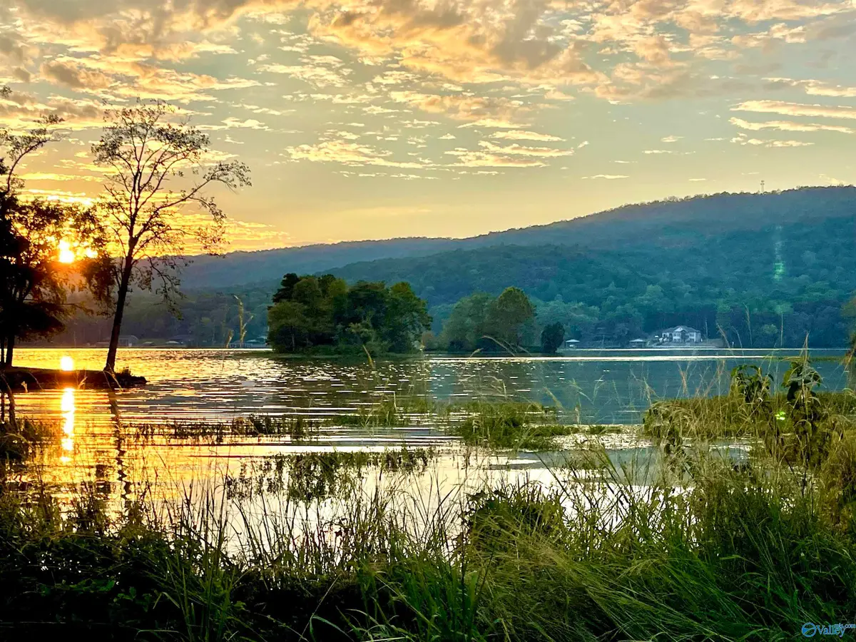 2842 Lake Forest Court, Southside, AL 35907 - Image #1