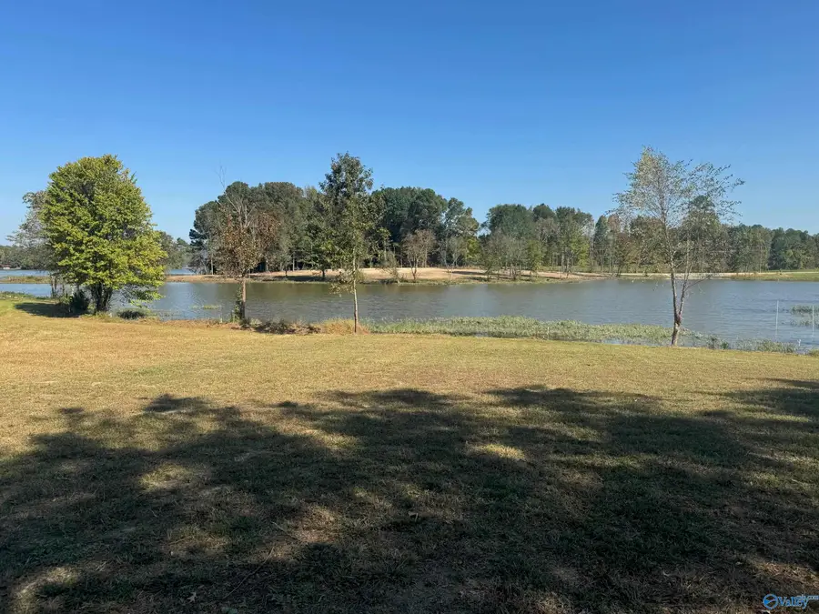 44 County Road 115, Cedar Bluff, AL 35959 - #2