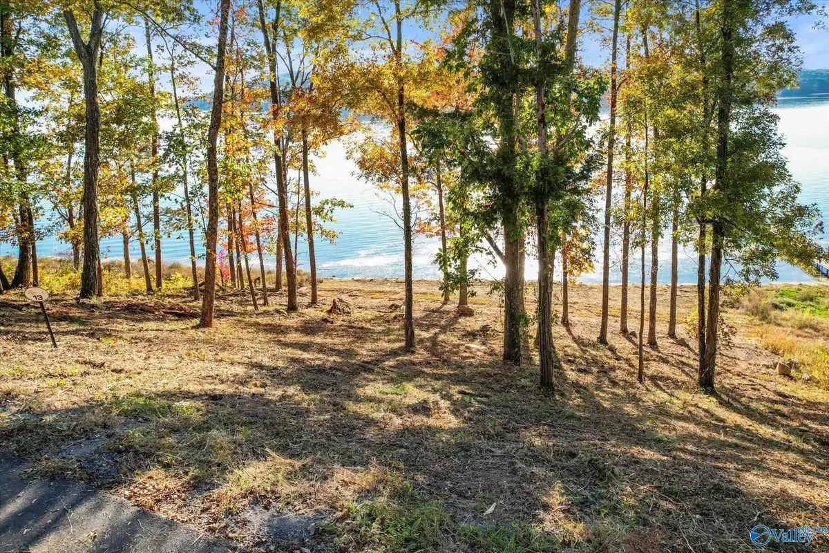 572 Reserve Drive, Guntersville, AL 35976 - Image #1