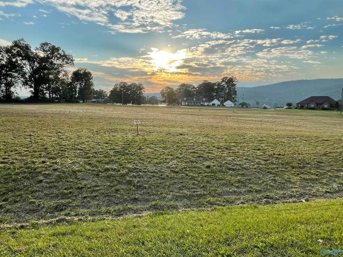 1092 Lake Forest Drive W, Southside, AL 35907 - Image #1