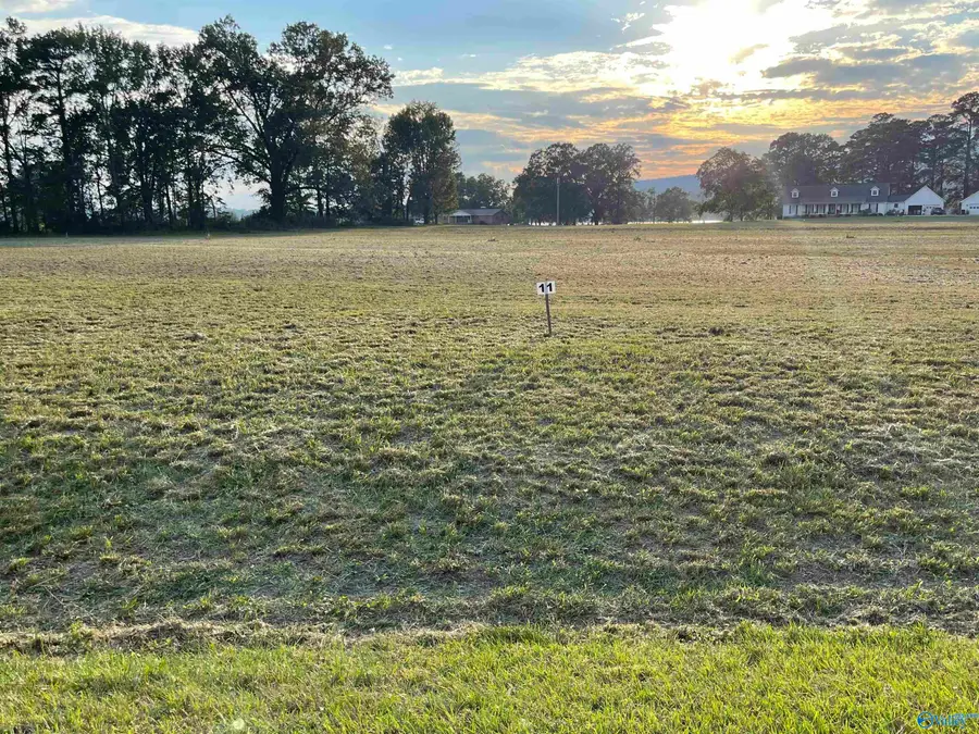 1092 Lake Forest Drive W, Southside, AL 35907 - Image #2