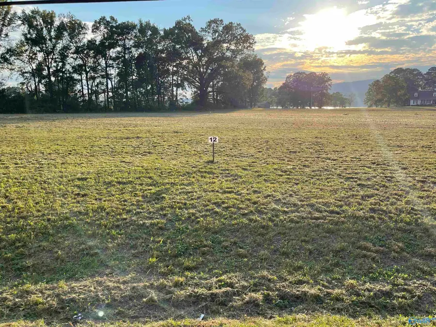 1088 Lake Forest Drive W, Southside, AL 35907 - Image #2