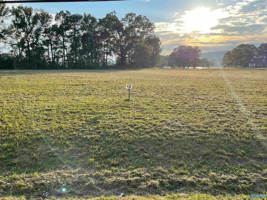 1088 Lake Forest Drive W, Southside, AL 35907 - Image #3