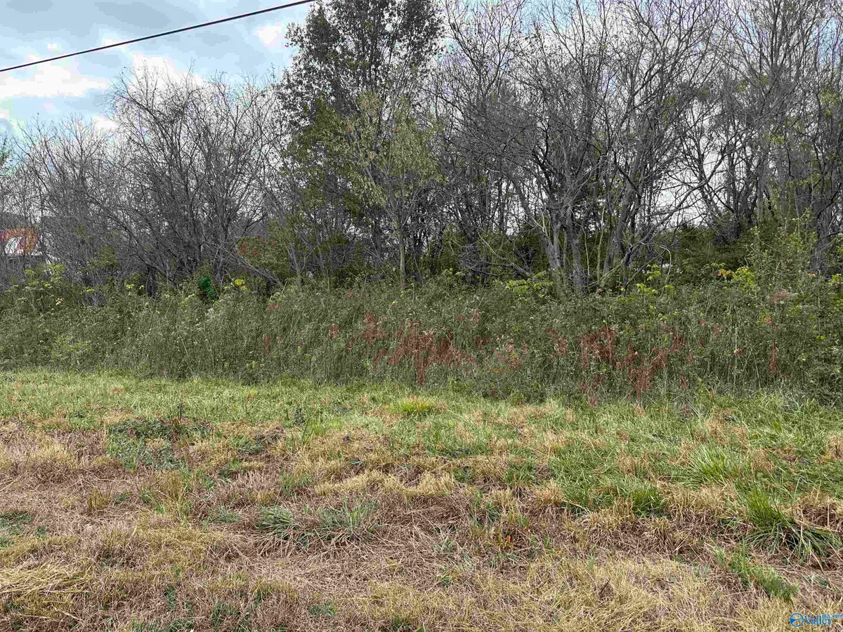 2.44 ac Alabama Highway 75, Ider, AL 35981 - Image #1