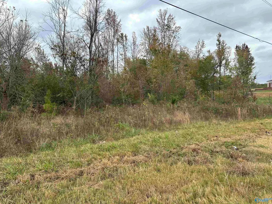 2.44 ac Alabama Highway 75, Ider, AL 35981 - Image #2