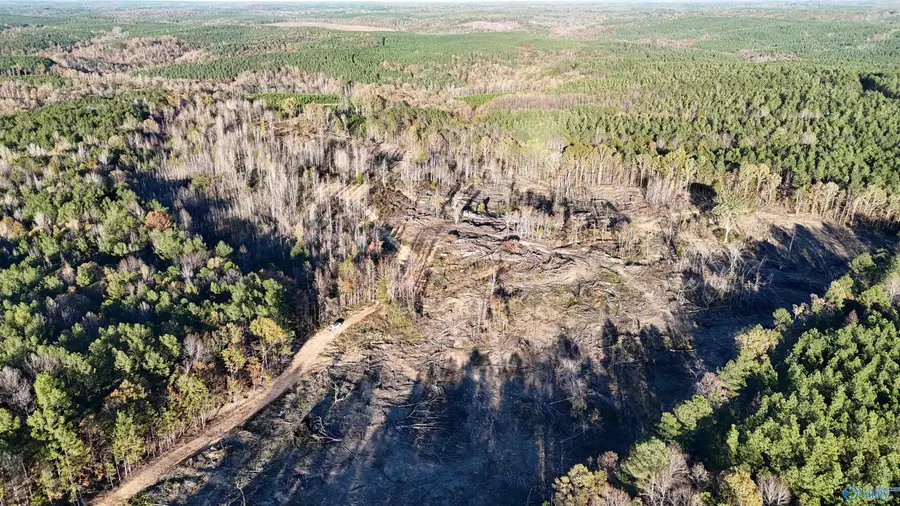 37.7 Acres Old Fred Williams Road, Hamilton, AL 35570 - #3