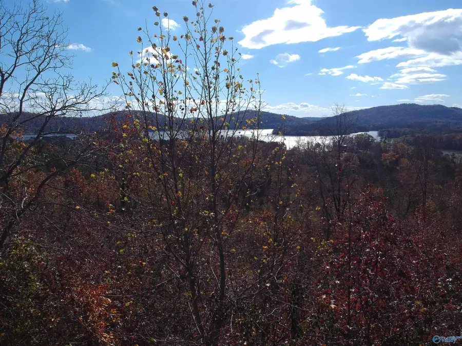 58 Raymond Lane, Southside, AL 35907 - Image #2