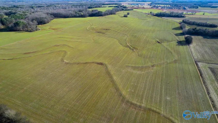 237 acres Narrow Lane, New Market, AL 35761 - Image #2