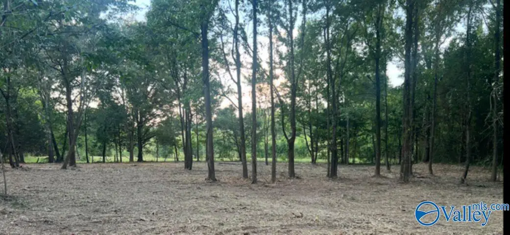 2.6acres County Road 242, Moulton, AL 35650 - Image #1