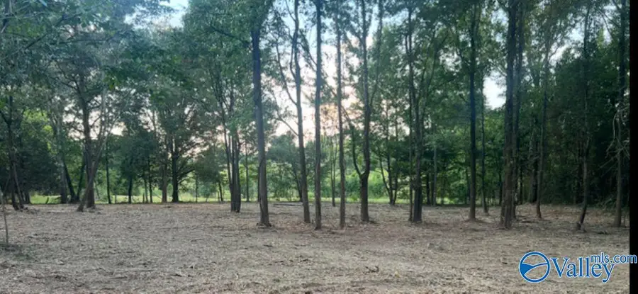 2.6acres County Road 242, Moulton, AL 35650 - Image #2