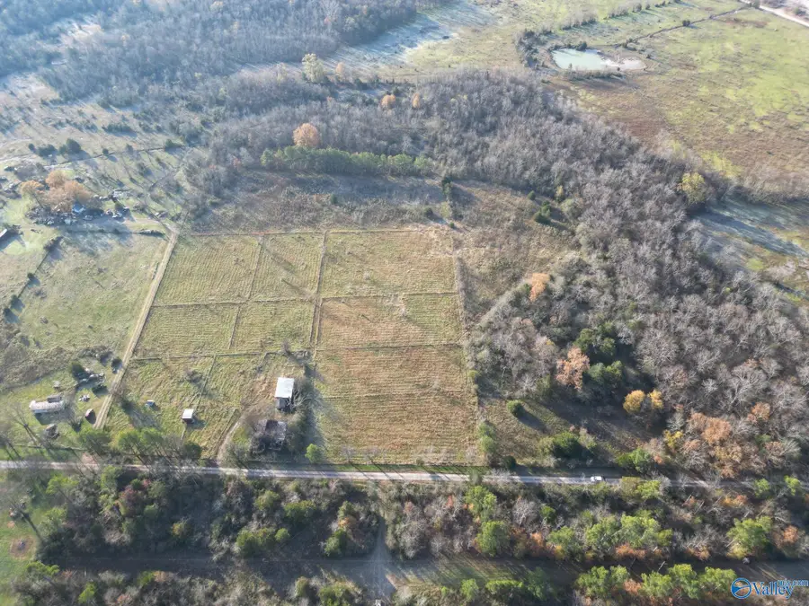 20 acres County Road 456, Russellville, AL 35654 - Image #3