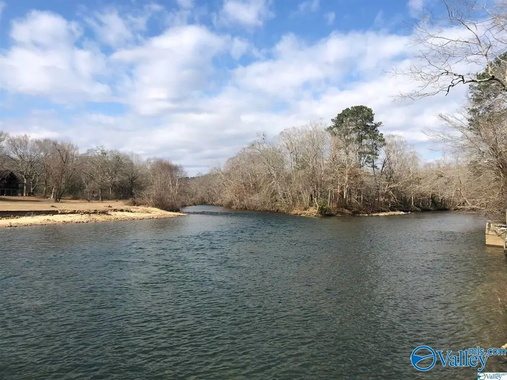 1350 County Road 137, Cedar Bluff, AL 35959 - Image #1