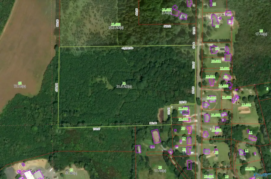 21.5 acres +/- County Road 91, Gaylesville, AL 35973 - Image #2