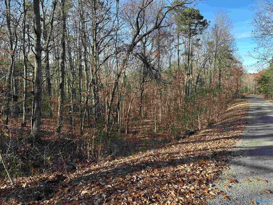 Lot 33 Woodfern Drive, Scottsboro, AL 35768 - Image #3