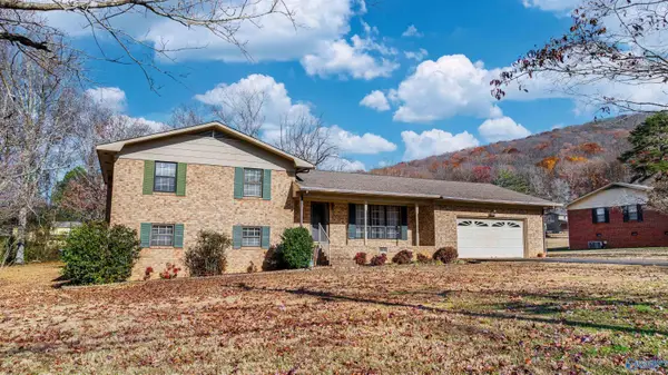 401 38th Street Ne, Fort Payne, AL 35967