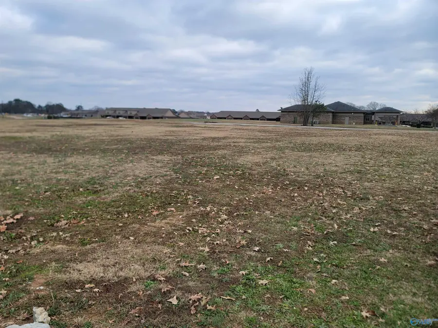 16296 Lucas Ferry Road, Athens, AL 35611 - Image #3