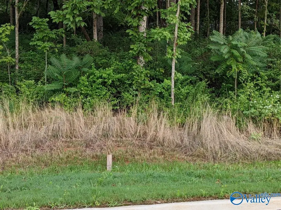 4103 Devon Street, Huntsville, AL 35802 - Image #3