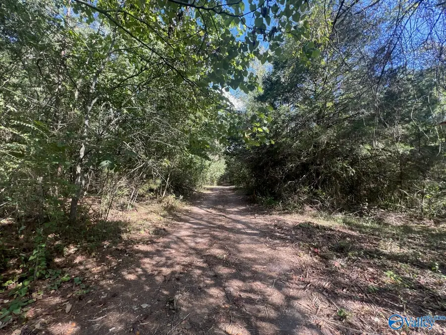 Tract 1 Williams Road, Athens, AL 35614 - Image #3