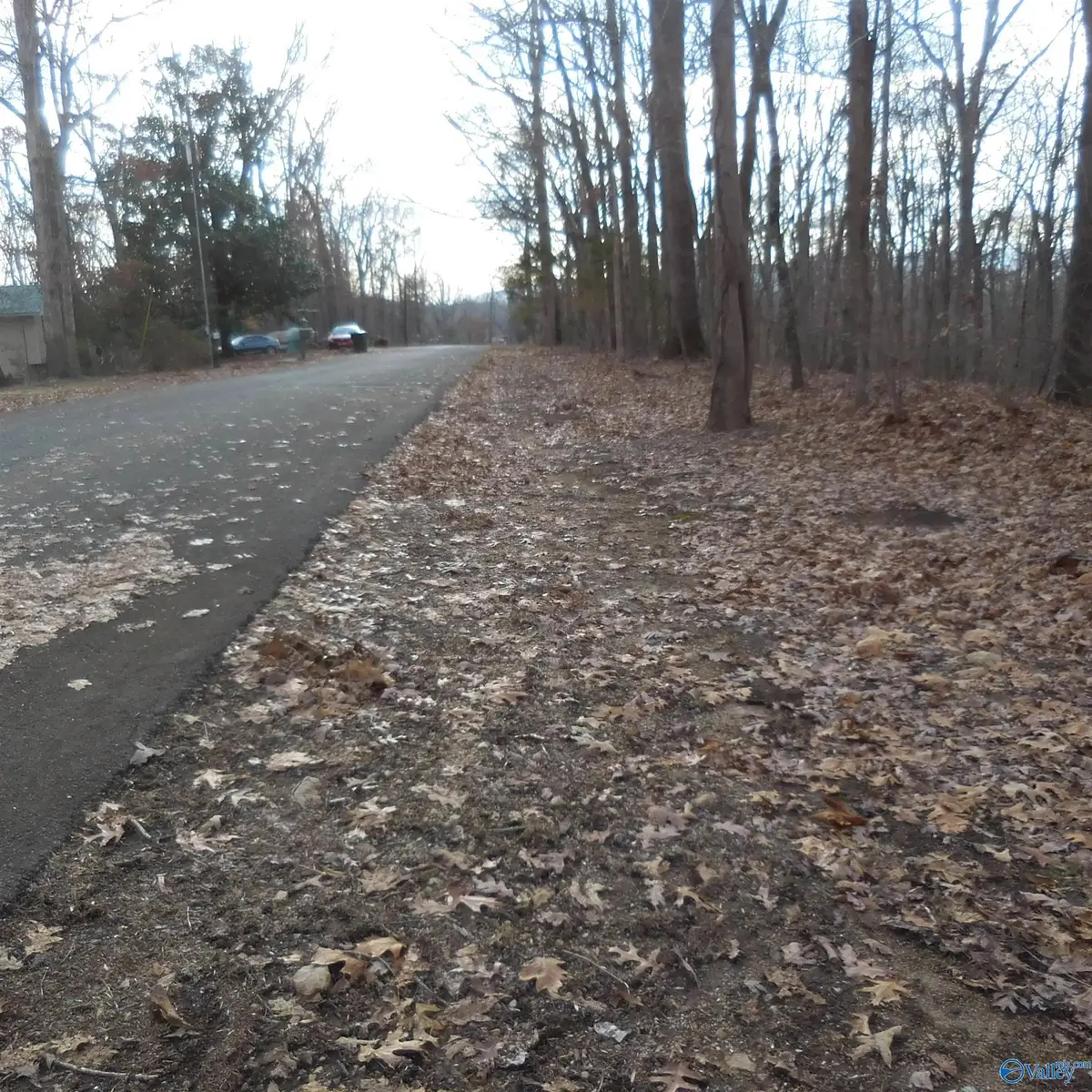 5 Newport Drive, Scottsboro, AL 35768 - Image #1