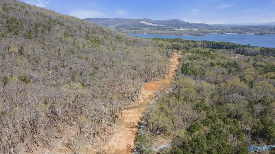 900-11 County Road 114, Scottsboro, AL 35769 - Image #3