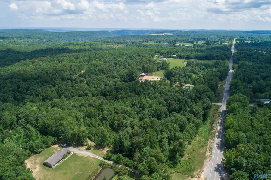 46 acres Alabama Highway 79, Scottsboro, AL 35768 - Image #2
