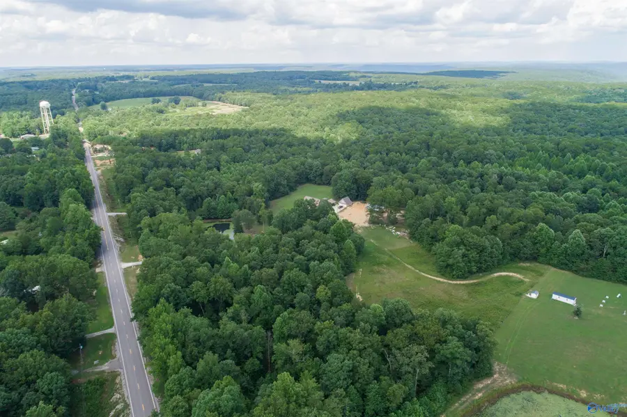 46 acres Alabama Highway 79, Scottsboro, AL 35768 - Image #3