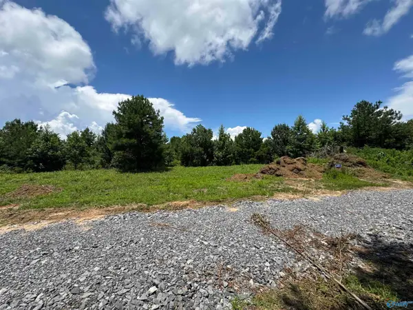 5 Razorback Way, Albertville, AL 35951