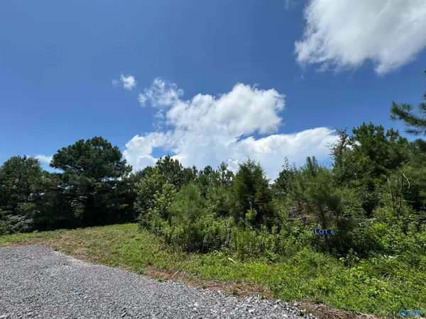 6+10 Razorback Way, Albertville, AL 35951