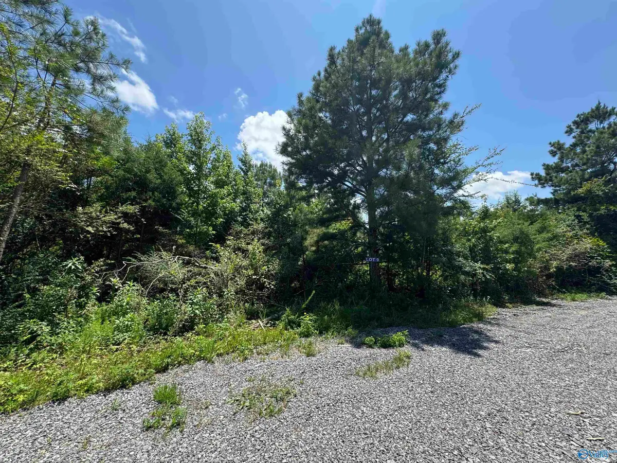 9 Hogs Lane, Albertville, AL 35951 - Image #1