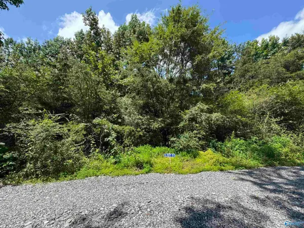 11 Hogs Lane, Albertville, AL 35951