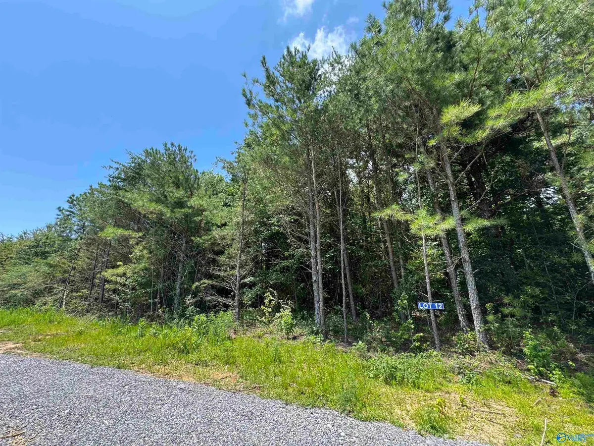 12 Hogs Lane, Albertville, AL 35951 - Image #1