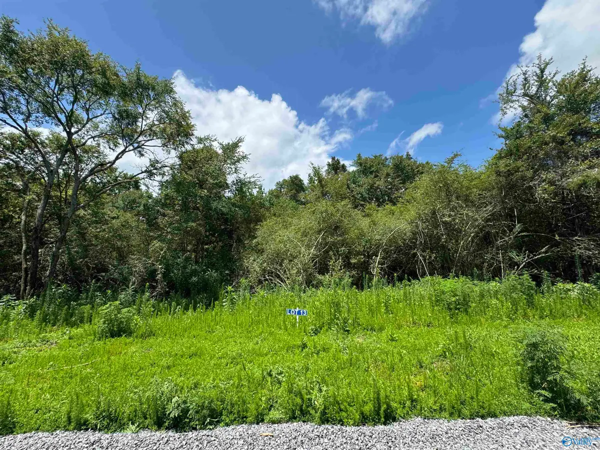 13 Hogs Lane, Albertville, AL 35951 - Image #1