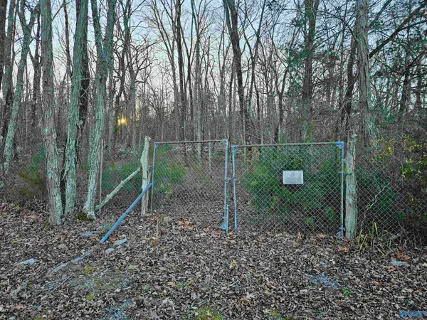 1.48 Acres Wesley Childers Road, New Hope, AL 35760