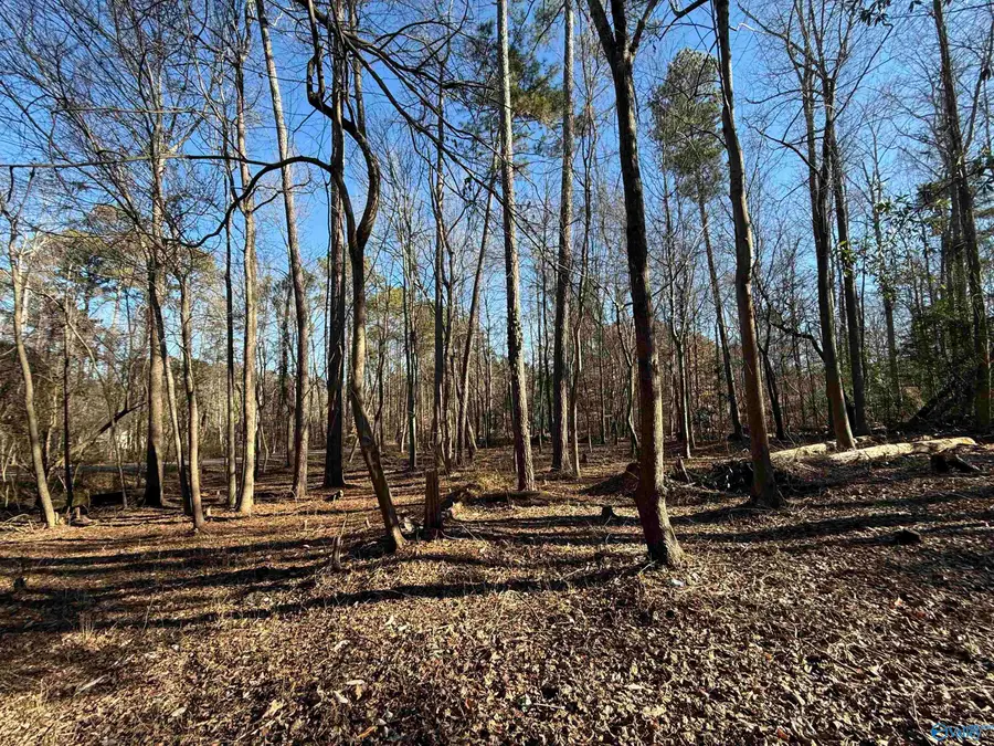 5 Nancy Cove Road, Southside, AL 35907 - Image #2