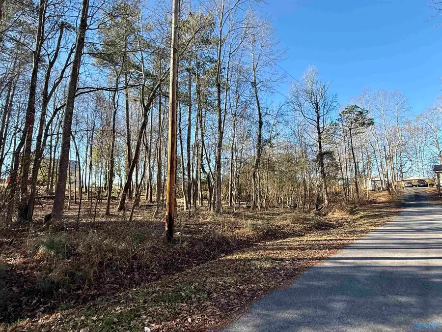 5 Nancy Cove Road, Southside, AL 35907 - Image #3