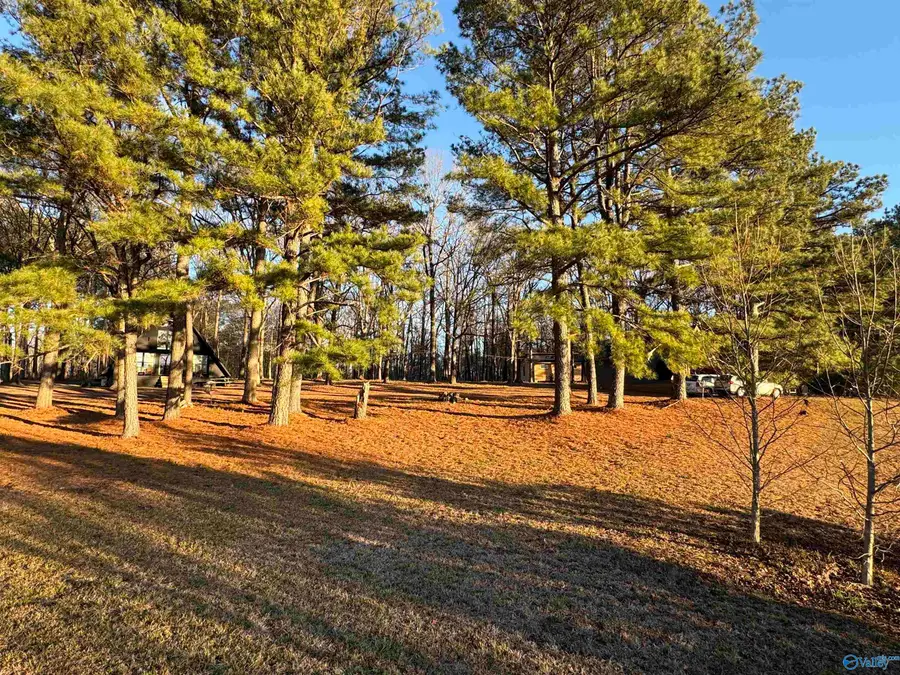 6288 Mcville Rd, Albertville, AL 35951 - Image #2